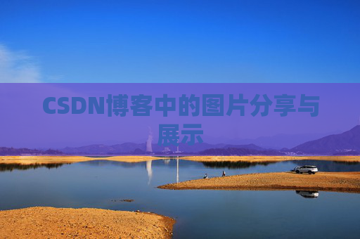 CSDN博客中的图片分享与展示